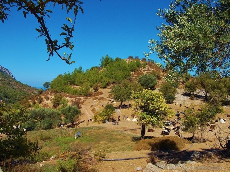 Džipu tūre Ziemeļkipras kalnos (Jeep tour in the mountains of Northern Cyprus). Vairāk informācijas interneta vietnē www.latviatours.lv 107882