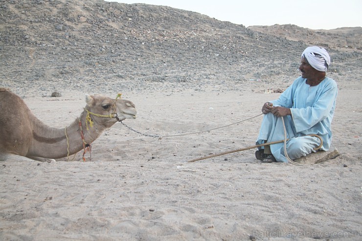 Kopā ar kamieļiem un beduīņiem tuksnesī pie Hurgadas. Vairāk informācijas par ceļojumiem uz Ēģipti pie tūroperatora GoAdventure 109099