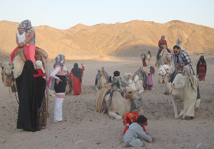 Kopā ar kamieļiem un beduīņiem tuksnesī pie Hurgadas. Vairāk informācijas par ceļojumiem uz Ēģipti pie tūroperatora GoAdventure 109106
