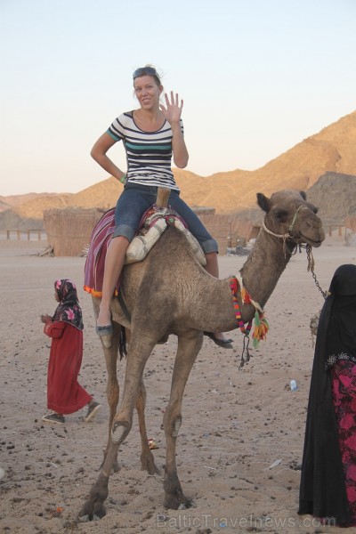 Kopā ar kamieļiem un beduīņiem tuksnesī pie Hurgadas. Vairāk informācijas par ceļojumiem uz Ēģipti pie tūroperatora GoAdventure 109108