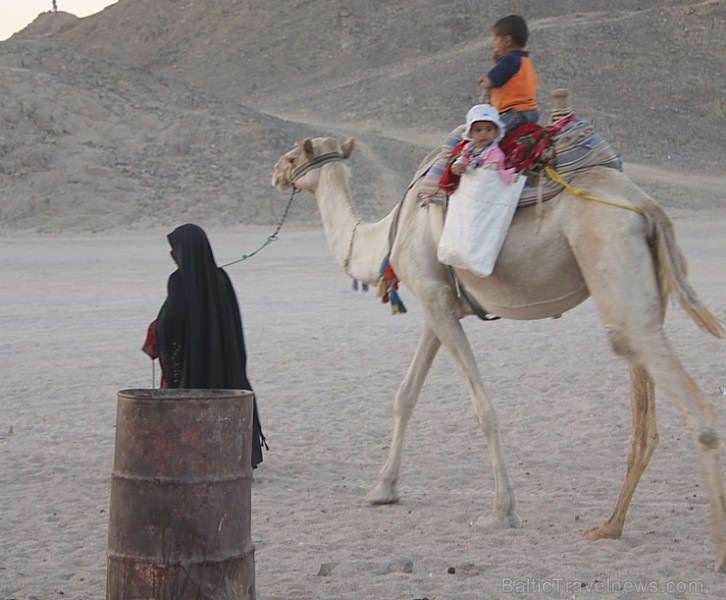 Kopā ar kamieļiem un beduīņiem tuksnesī pie Hurgadas. Vairāk informācijas par ceļojumiem uz Ēģipti pie tūroperatora GoAdventure 109119