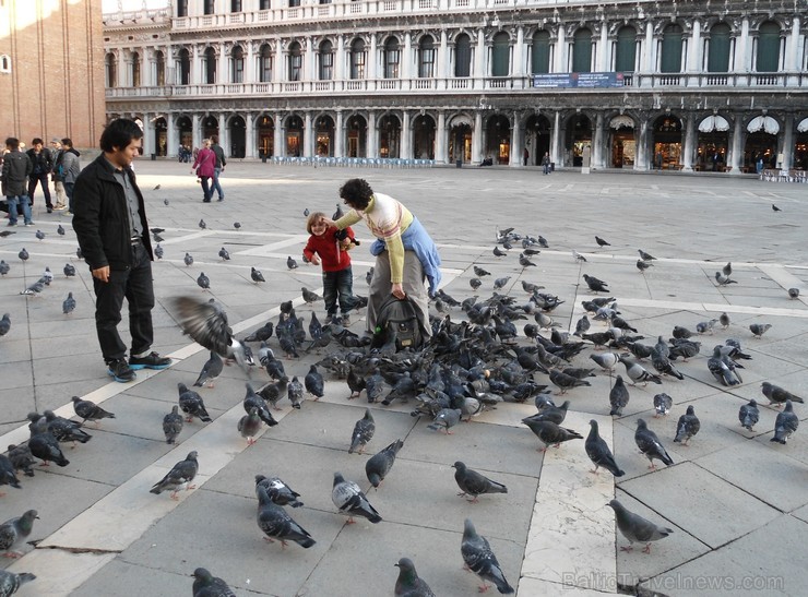 Relaks Tūre kliente dalās foto iespaidos par Venēcijas apmeklējumu ceļojuma Itālijas pieskāriens ietvaros www.relaksture.lv 109784