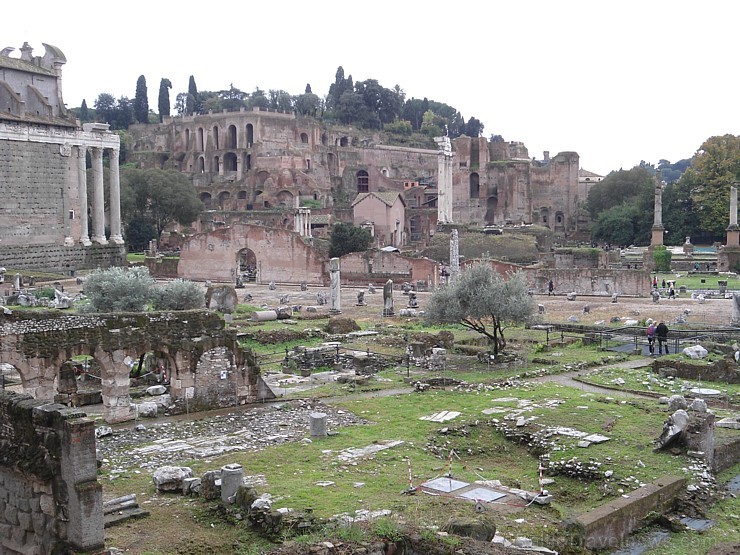 Relaks Tūre kliente dalās foto iespaidos par Romas apmeklējumu ceļojuma Itālijas pieskāriens ietvaros www.relaksture.lv 110022