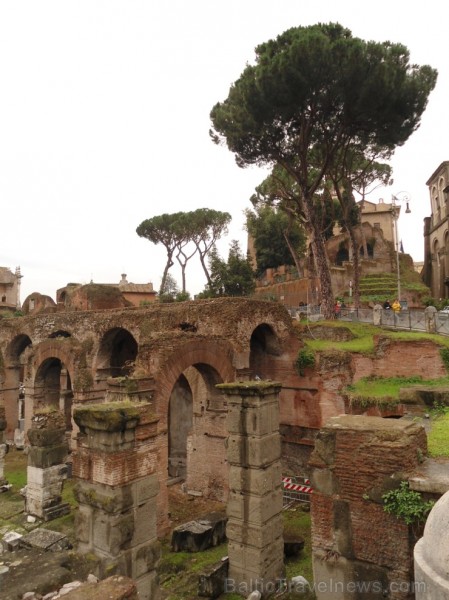 Relaks Tūre kliente dalās foto iespaidos par Romas apmeklējumu ceļojuma Itālijas pieskāriens ietvaros www.relaksture.lv 110029