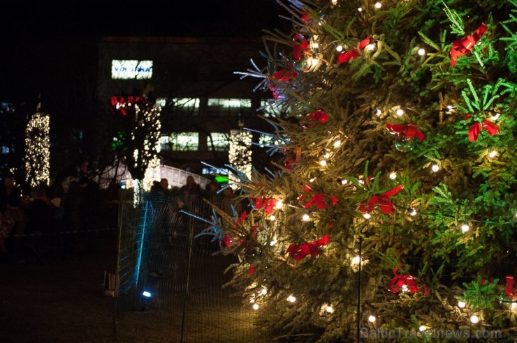 Ar lielās Ziemassvētku egles iemirdzēšanos Liepājā sācies Ziemas festivāls, kas sevī kā lielā rūķa maisā saslēpis daudzus jo daudzus pasākumus, jautru 110392