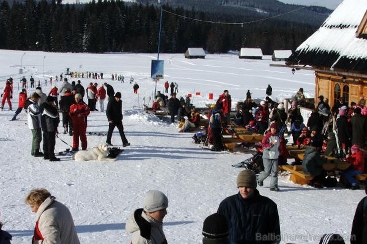 Vairāk informācijas interneta vietnē www.tatry-ski.pl 113272