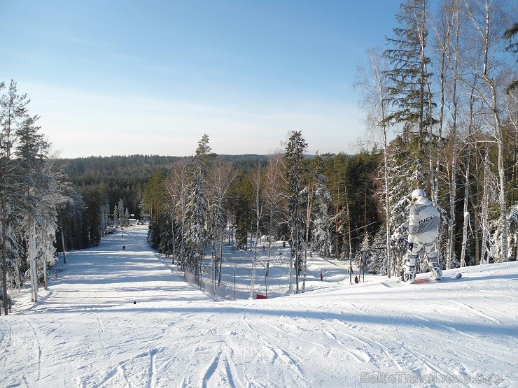 26.01.2014 Riekstukalna apmeklētājus sals nebiedēja. Par spīti lielajam aukstumam ziemas priekus baudīja gan mazi, gan lieli 113322