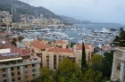 Monako oficiālā valoda ir franču, taču izplatītas ir arī angļu, itāļu un monegasku valodas 25