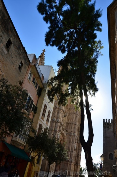 Palma de Maljorka- viena no Vidusjūras pērlēm, tās robežās sadzīvo Romas perioda arhitektūras pieminekļi, viduslaiku namiņu kvartāli ar bruģētām ielām 115151