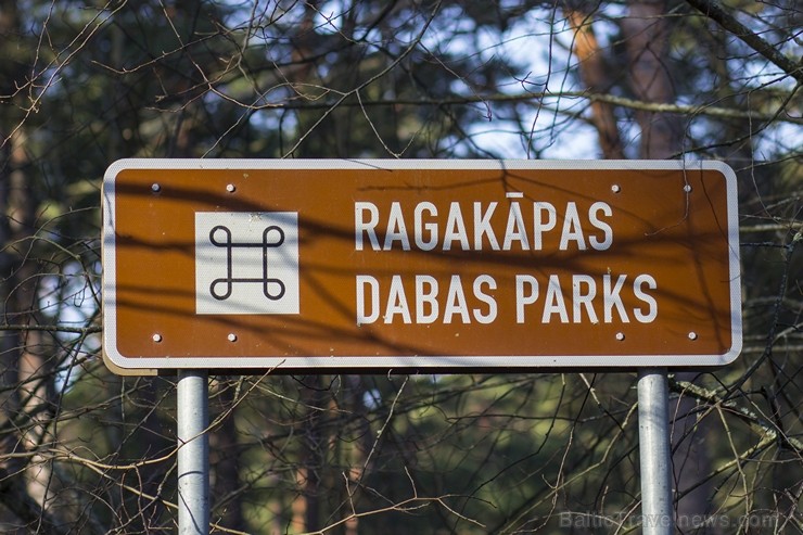 Jūrmalas pilsētas austrumu daļā uz rietumiem no Lielupes grīvas atrodas Ragakāpas dabas parks, tā kopējā platība ir 84 hektāri 116522