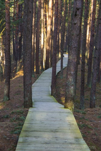 Ragakāpas dabas parks Jūrmalā ir jauka pavasarīgas pastaigas vieta 116534