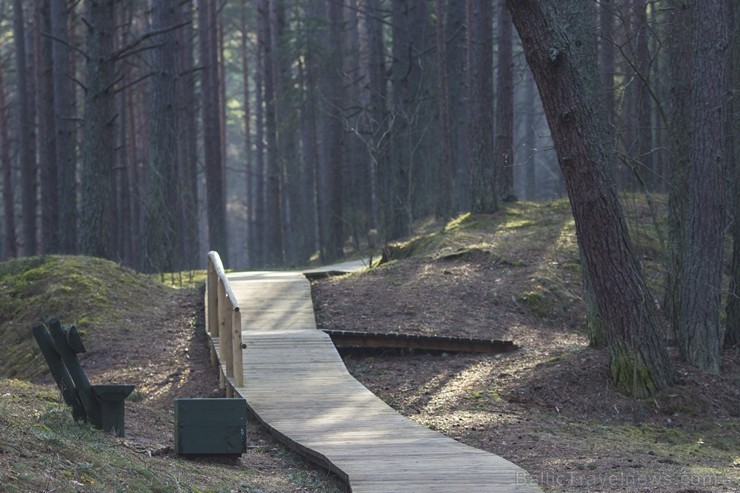 Ragakāpas dabas parks Jūrmalā ir jauka pavasarīgas pastaigas vieta 116535