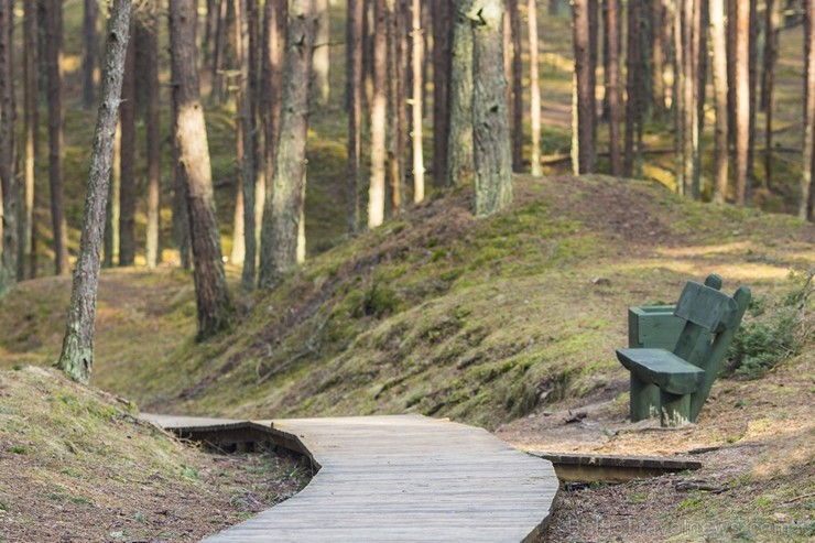 Ragakāpas dabas parks Jūrmalā ir jauka pavasarīgas pastaigas vieta 116536