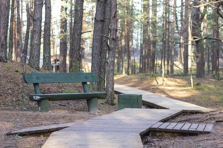 Ragakāpas dabas parks Jūrmalā ir jauka pavasarīgas pastaigas vieta 116538