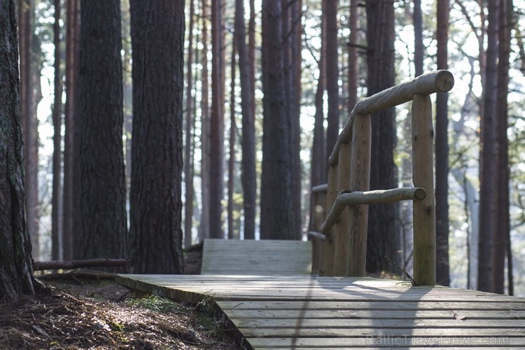 Ragakāpas dabas parks Jūrmalā ir jauka pavasarīgas pastaigas vieta 116545