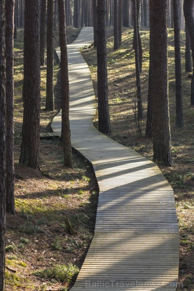 Ragakāpas dabas parks Jūrmalā ir jauka pavasarīgas pastaigas vieta 116546