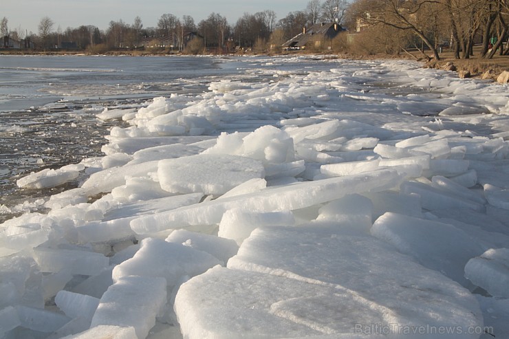 Daugavas krasti pie Ikšķiles ir svinīgi balti 116576