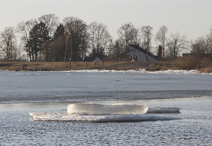 Daugavas krasti pie Ikšķiles ir svinīgi balti 116583