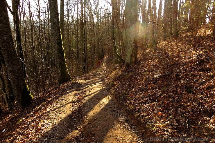 Pavasaris ienāk Siguldā un vilina atpūtniekus ar dabas skaistumu - www.tourism.sigulda.lv 116741