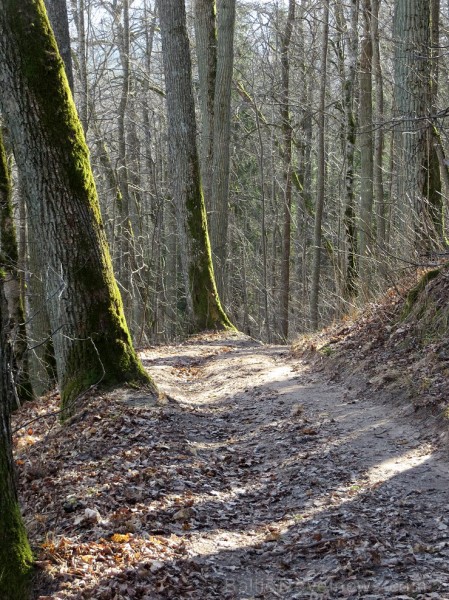 Pavasaris ienāk Siguldā un vilina atpūtniekus ar dabas skaistumu - www.tourism.sigulda.lv 116749