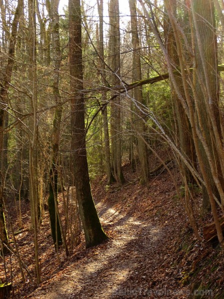 Pavasaris ienāk Siguldā un vilina atpūtniekus ar dabas skaistumu - www.tourism.sigulda.lv 116751