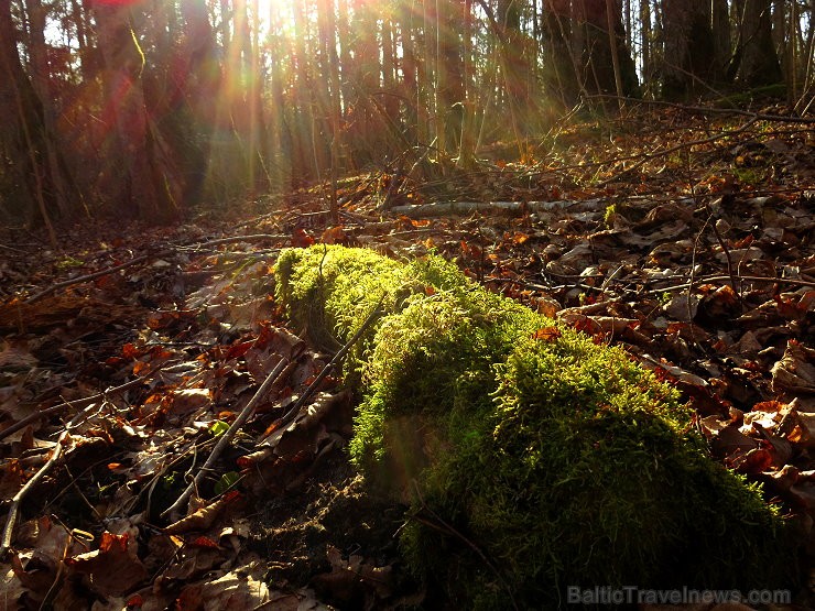 Pavasaris ienāk Siguldā un vilina atpūtniekus ar dabas skaistumu - www.tourism.sigulda.lv 116756