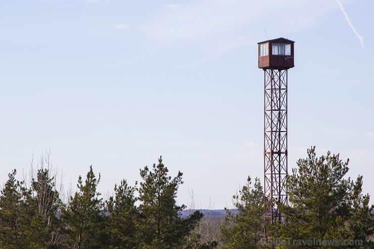 Skatu tornis Kristakrūgā ļauj pārlūkot Teiču dabas rezervātu jebkuram garāmbraucējam 117112