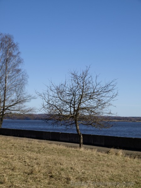 Aizkraukliešu iecienīta pastaigu vieta gar Daugavu. 117985