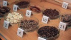 Muzejā iespējams ieskatīties šokolādes senajā pagātnē, aplūkot maiju un acteku šokolādes gatavošanas tradīcijas, kā arī ielūkoties šokolādes gatavošan 4
