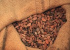 Muzejā iespējams ieskatīties šokolādes senajā pagātnē, aplūkot maiju un acteku šokolādes gatavošanas tradīcijas, kā arī ielūkoties šokolādes gatavošan 6