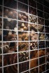 Muzejā iespējams ieskatīties šokolādes senajā pagātnē, aplūkot maiju un acteku šokolādes gatavošanas tradīcijas, kā arī ielūkoties šokolādes gatavošan 13