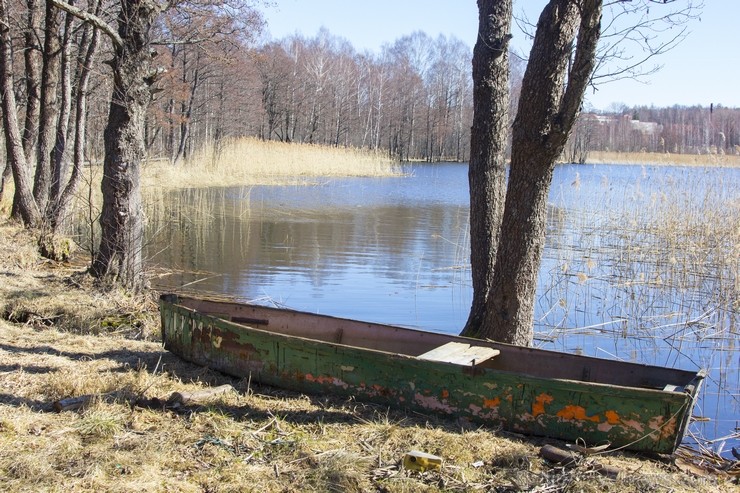 Ieskats pārgājienā apkārt Limbažu Lielezeram 118318