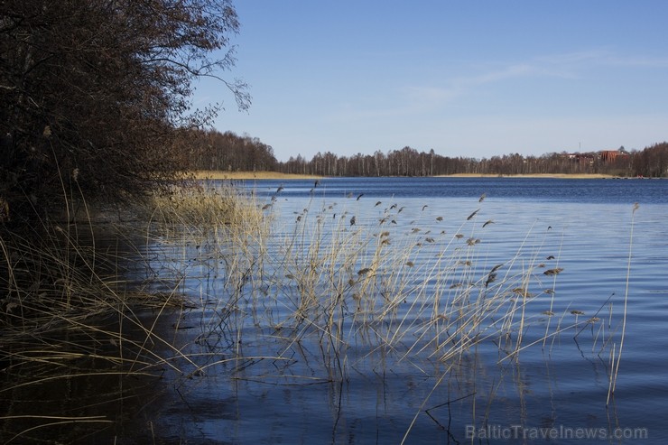 Ieskats pārgājienā apkārt Limbažu Lielezeram 118327