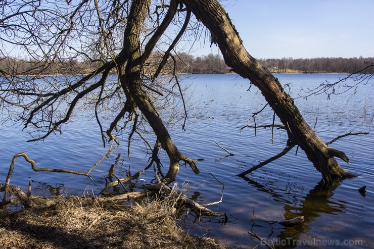 Ieskats pārgājienā apkārt Limbažu Lielezeram 118338