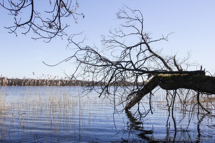 Ieskats pārgājienā apkārt Limbažu Lielezeram 118343