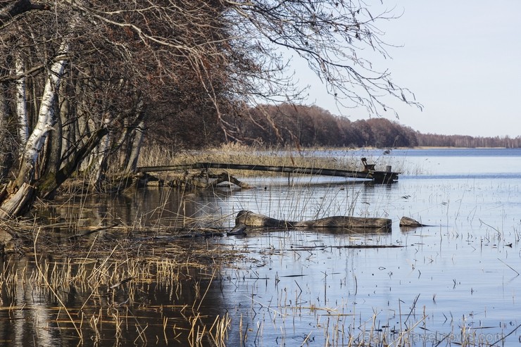 Ieskats pārgājienā apkārt Limbažu Lielezeram 118356