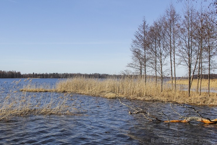 Ieskats pārgājienā apkārt Limbažu Lielezeram 118369