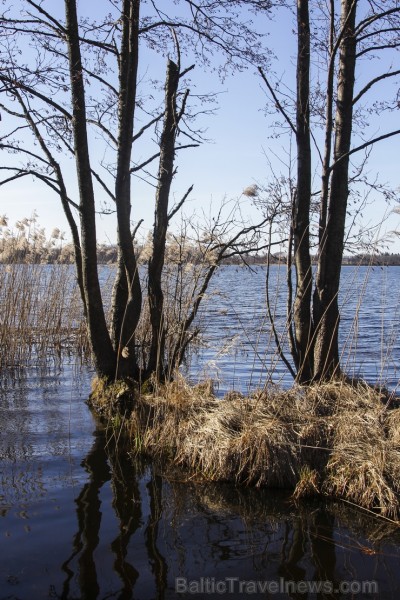 Ieskats pārgājienā apkārt Limbažu Lielezeram 118373