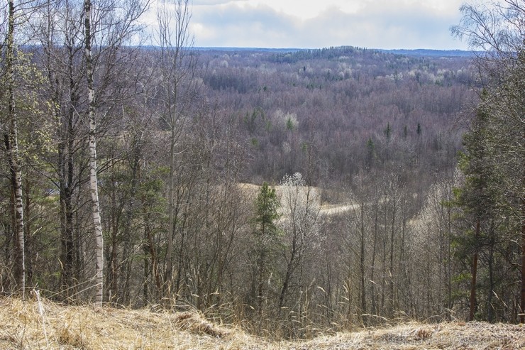 Mākoņkalns ir viens no augstākajiem Latgales pauguriem 118486