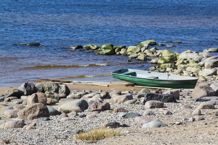 Vidzemes akmeņainā jūrmala ir bagāta ar dažāda lieluma laukakmeņiem. Tos uz šejieni pirms 13-10 tūkstošiem gadu ir atnesis ledājs. Akmeņainā pludmale  118631