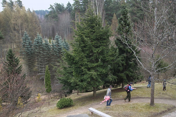 Dendroloģiskais parks Lazdukalni ir izcila vieta ikdienas relaksācijai un izglītošanai 118901