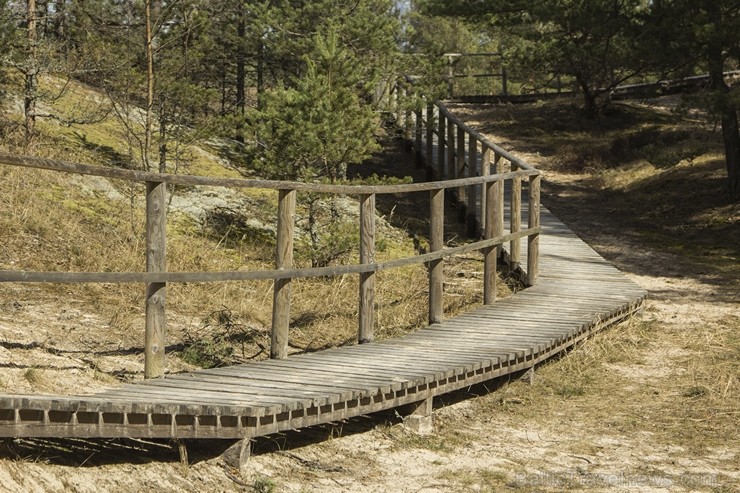 Pūrciema Baltās kāpas apkārtne saista gan ar savu pirmatnējo dabu, gan savu vēsturi 119296