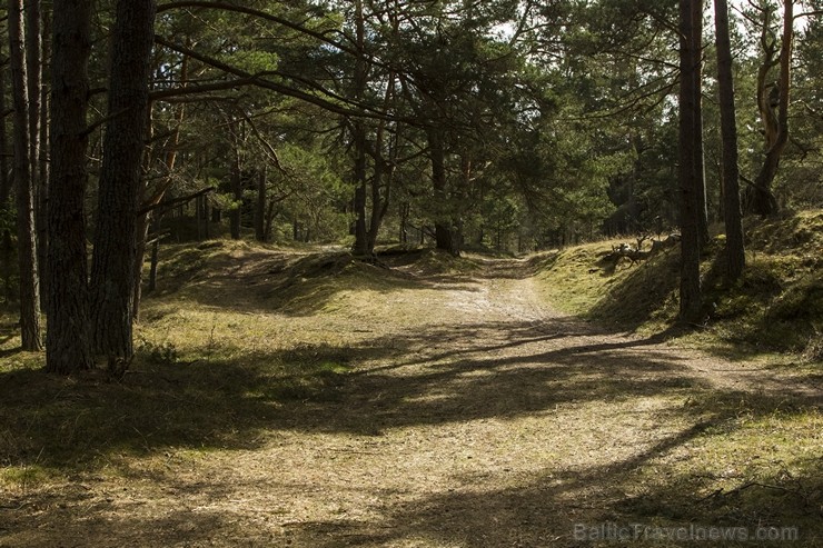 Pūrciema Baltās kāpas apkārtne saista gan ar savu pirmatnējo dabu, gan savu vēsturi 119308