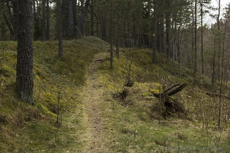 Pūrciema Baltās kāpas apkārtne saista gan ar savu pirmatnējo dabu, gan savu vēsturi 119320