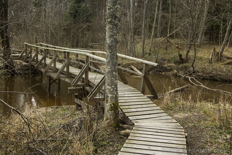 Pūrciema Baltās kāpas apkārtne saista gan ar savu pirmatnējo dabu, gan savu vēsturi 119326