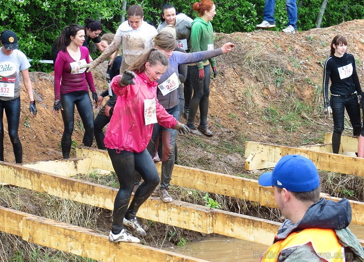 «Stipro skrējiens 2014» pulcē izturīgos un skriet mīlošos (sievietes) 120269