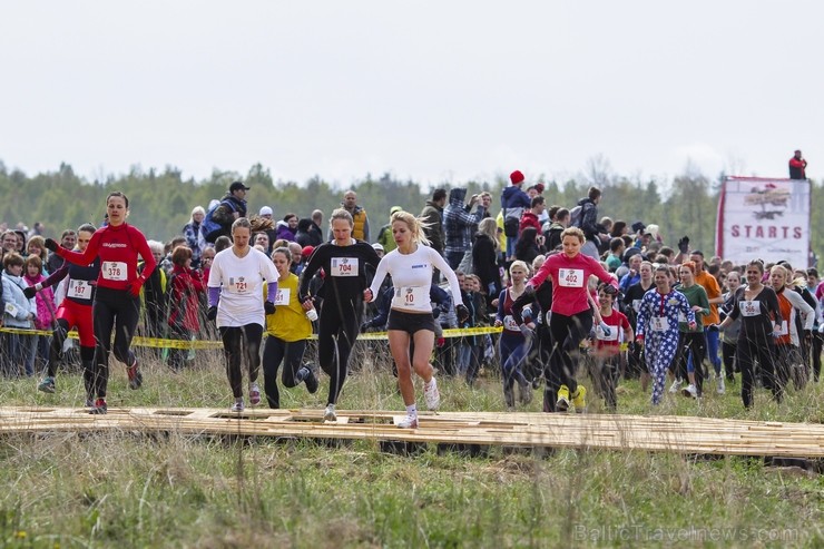 «Stipro skrējiens 2014» pulcē izturīgos un skriet mīlošos (3.daļa) 120342