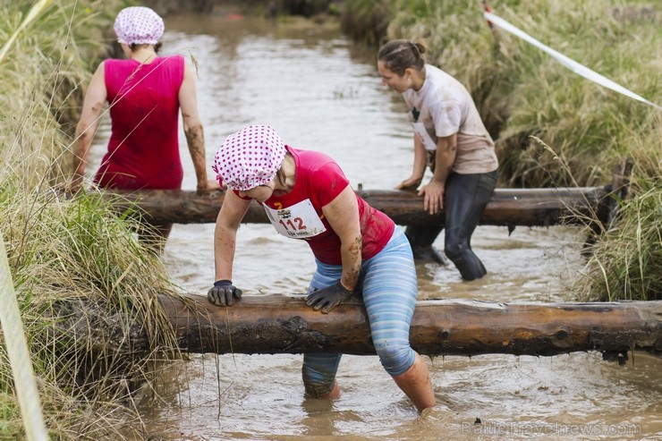 «Stipro skrējiens 2014» pulcē izturīgos un skriet mīlošos (3.daļa) 120384