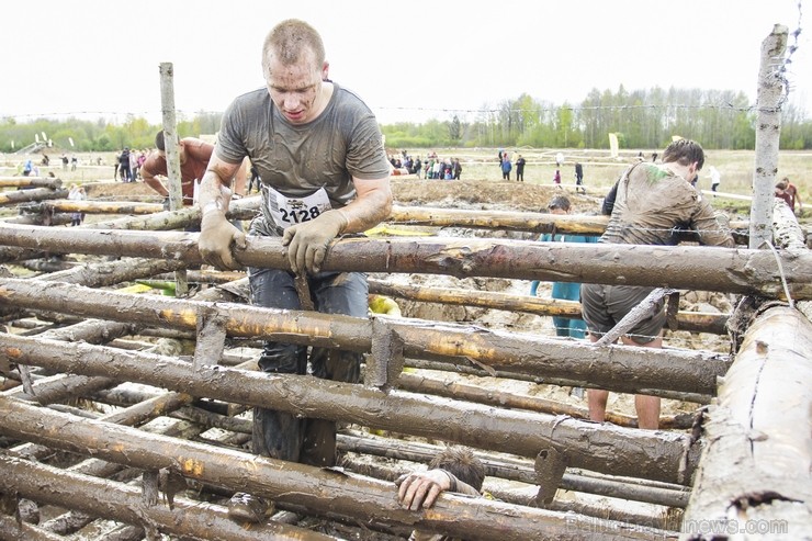 «Stipro skrējiens 2014» pulcē izturīgos un skriet mīlošos (5.daļa) 120538