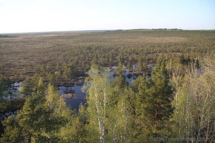 Teiču dabas rezervāta skatutornis ir kļuvis par ļoti populāru tūrisma objektu 121186